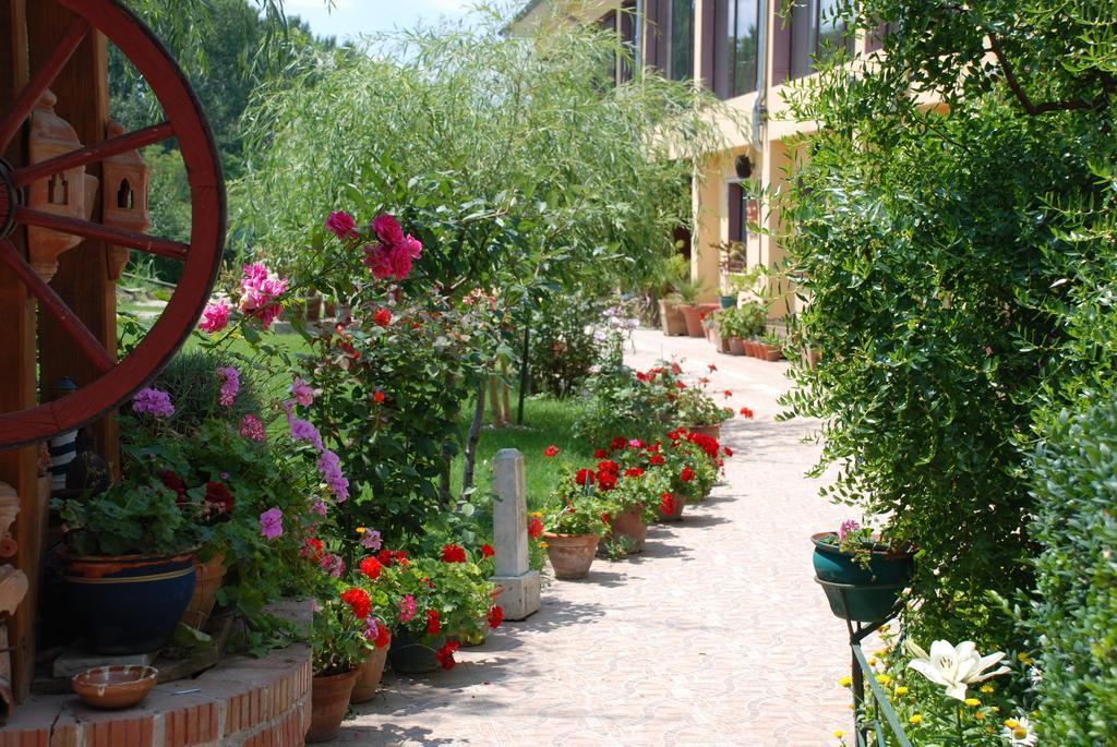 Villa Giulia Islaz Eksteriør billede