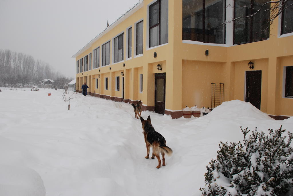 Villa Giulia Islaz Eksteriør billede